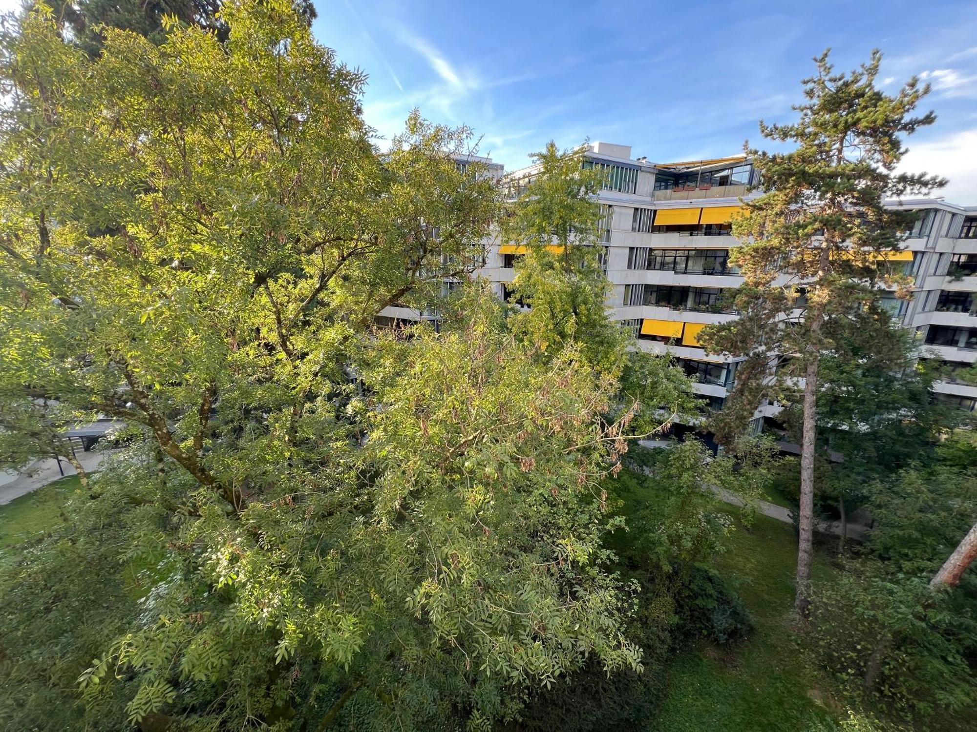 Hostal Champel Cozy Ginebra